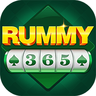 Rummy 365 APK